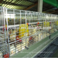 H Type 4 Layer Baby Chicken Cage/ Brooder/ Day Old Chicken Cages For Sale